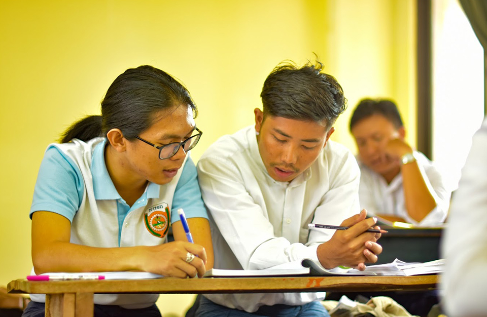 Understanding culture